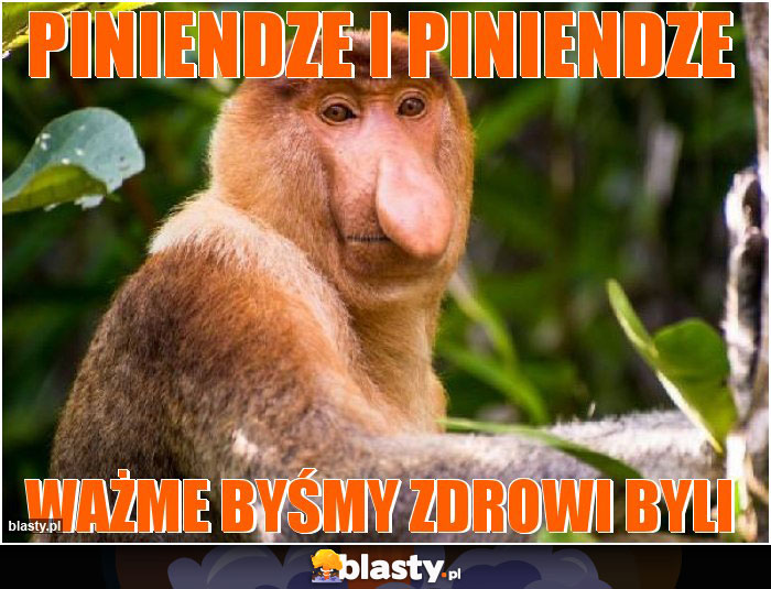 Piniendze i piniendze