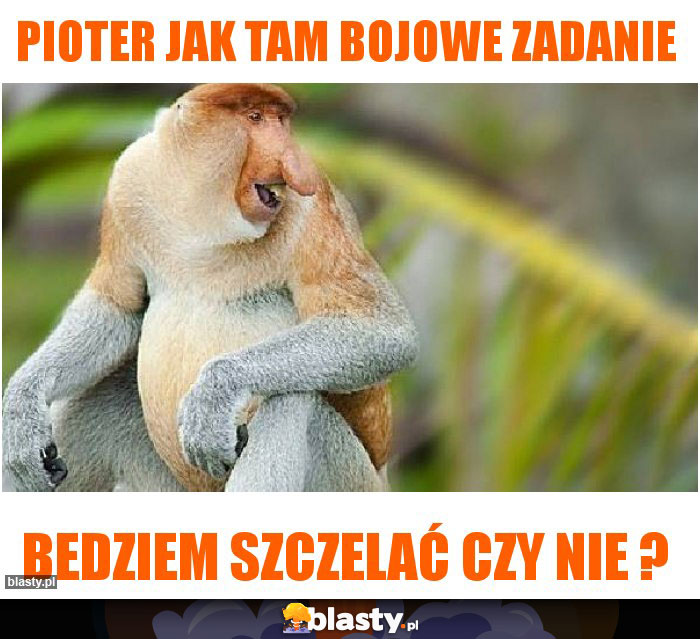 PIOTER JAK TAM BOJOWE ZADANIE