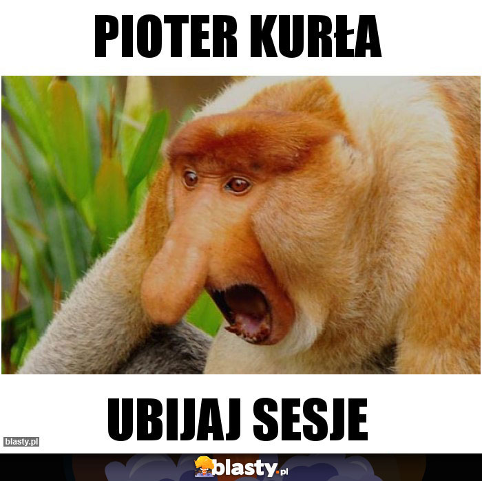 pioter kurła