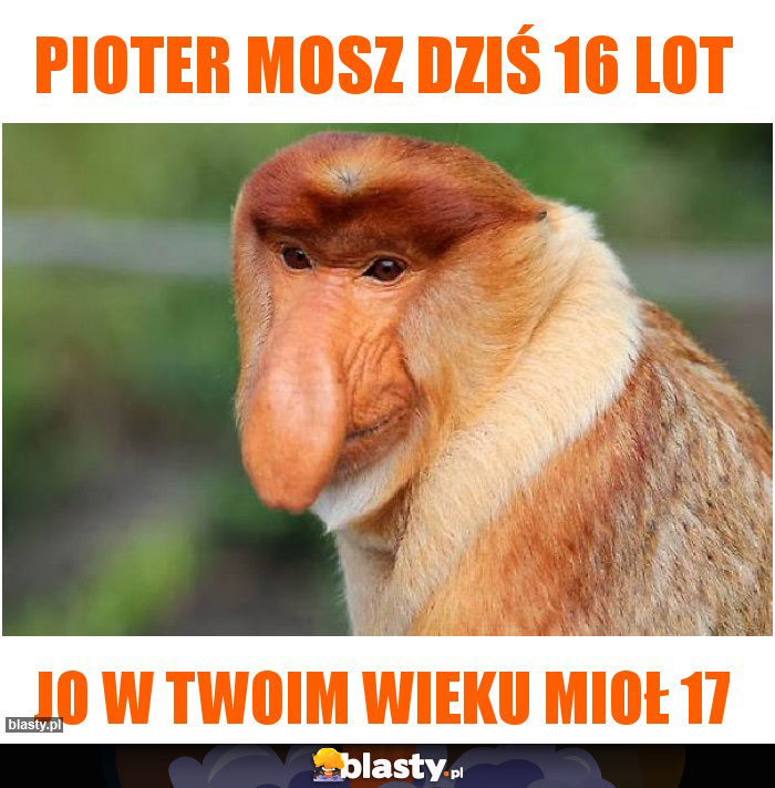 Pioter mosz dziś 16 lot