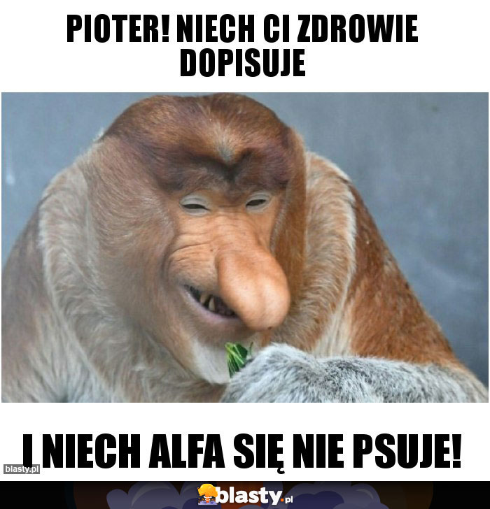 Pioter! Niech Ci zdrowie dopisuje