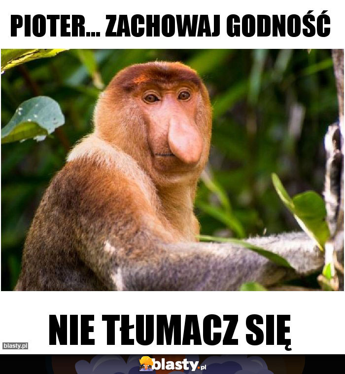 Pioter... zachowaj godność