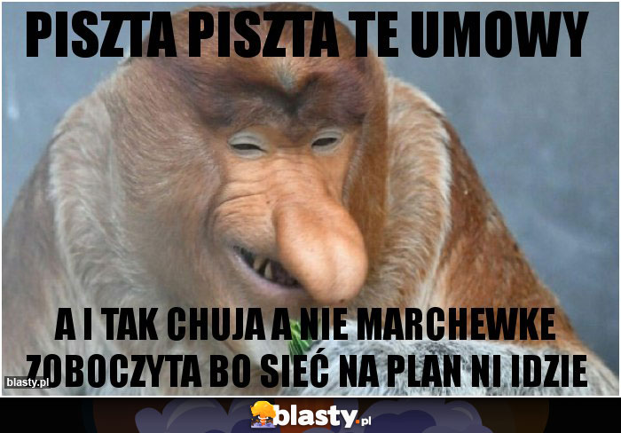 piszta piszta te umowy