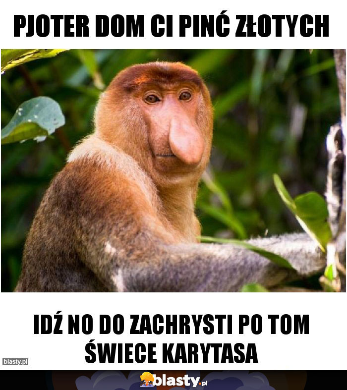 Pjoter dom ci pinć złotych