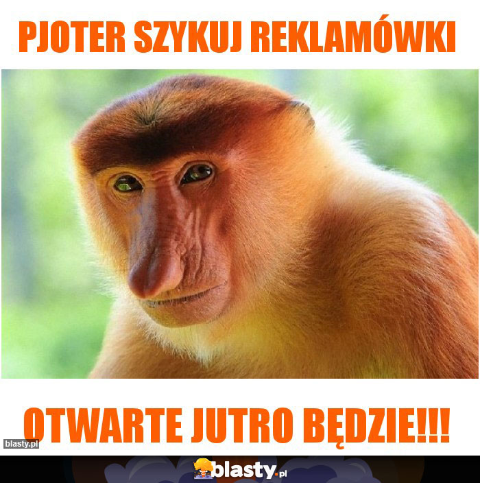 PJOTER SZYKUJ REKLAMÓWKI