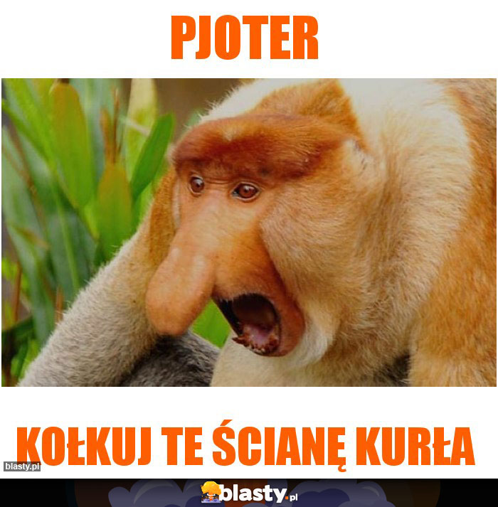 Pjoter