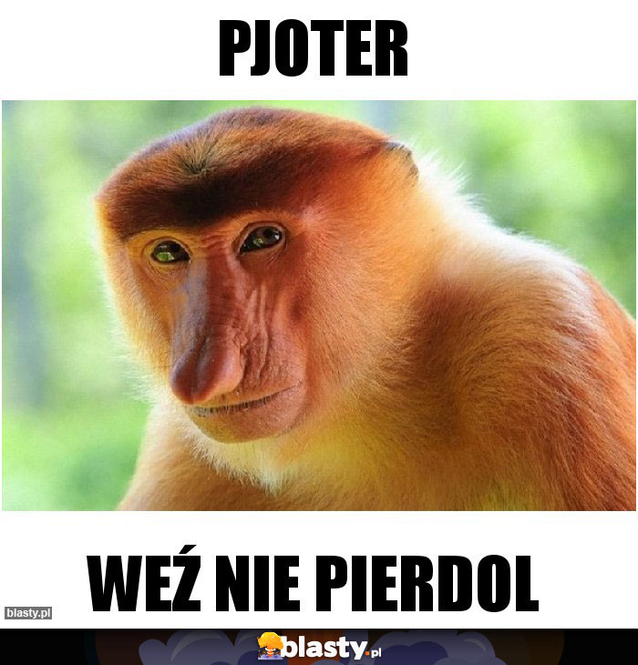 Pjoter