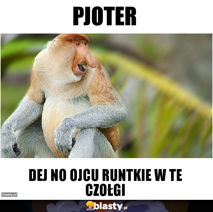 Pjoter