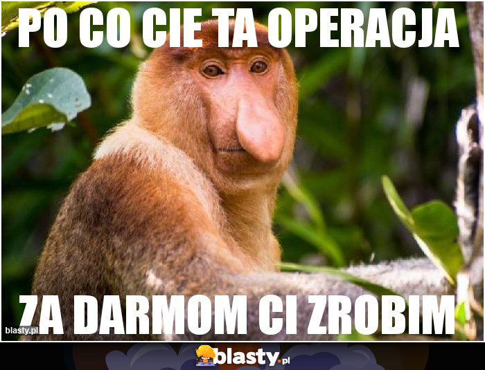 PO CO CIE TA OPERACJA