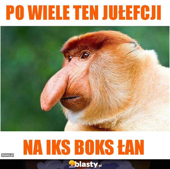 Po wiele ten jułefcji