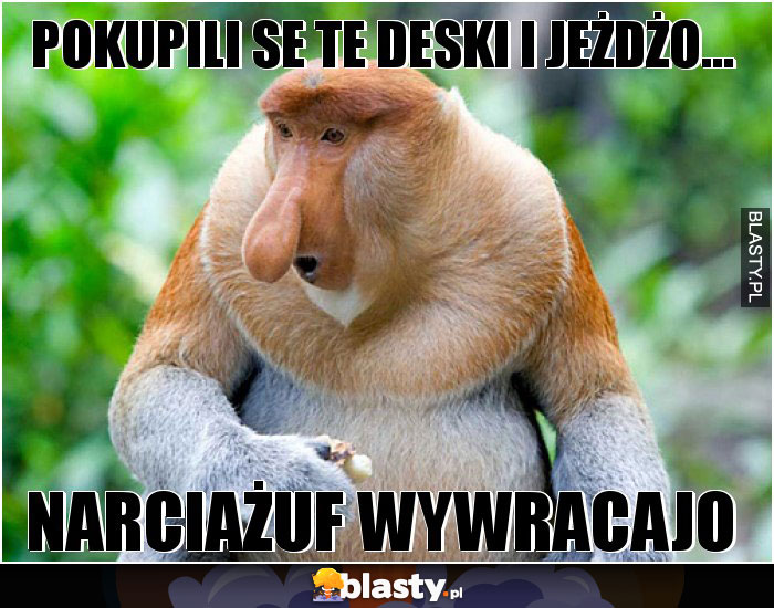 Pokupili se te deski i jeżdżo...