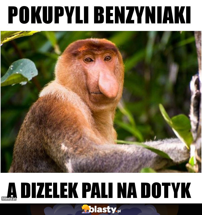 Pokupyli benzyniaki