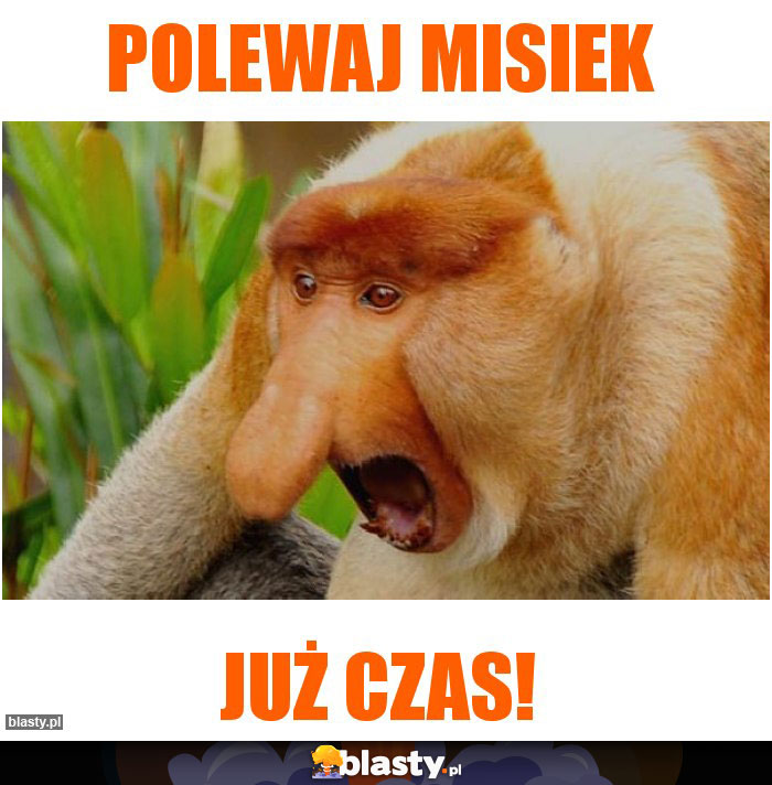 Polewaj Misiek