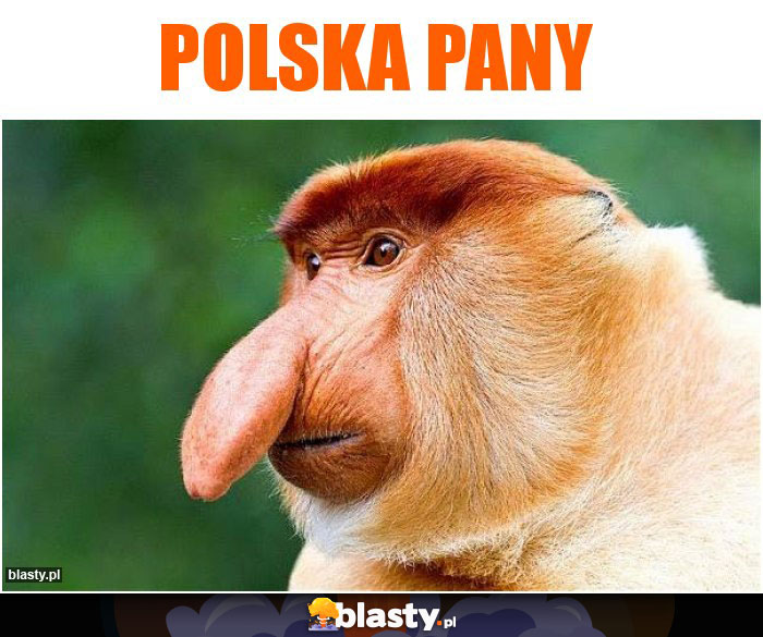 Polska pany