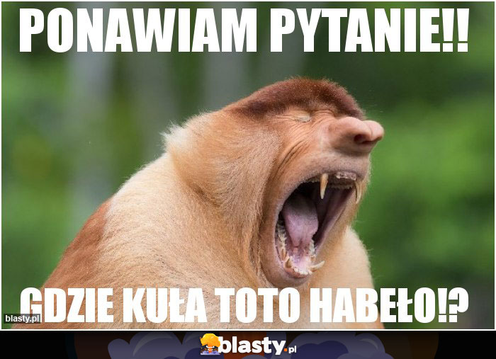 ponawiam pytanie!!