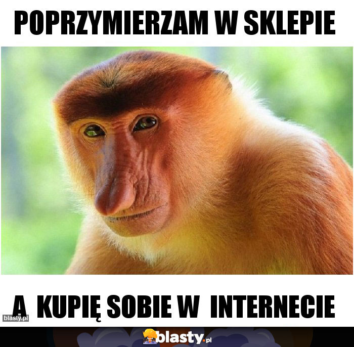 Poprzymierzam w sklepie