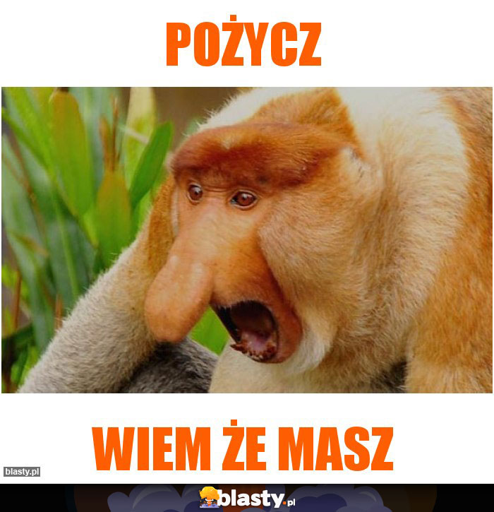 Pożycz