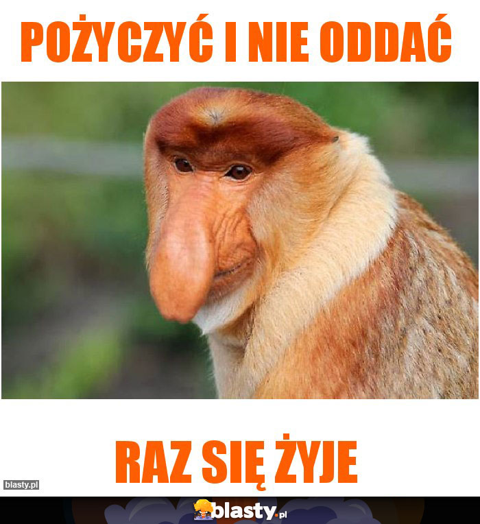 Pożyczyć i nie oddać