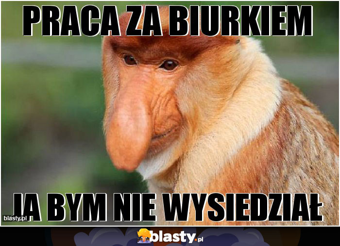 praca za biurkiem