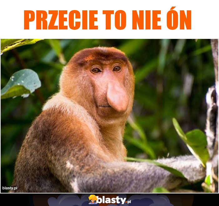 Przecie to nie ón