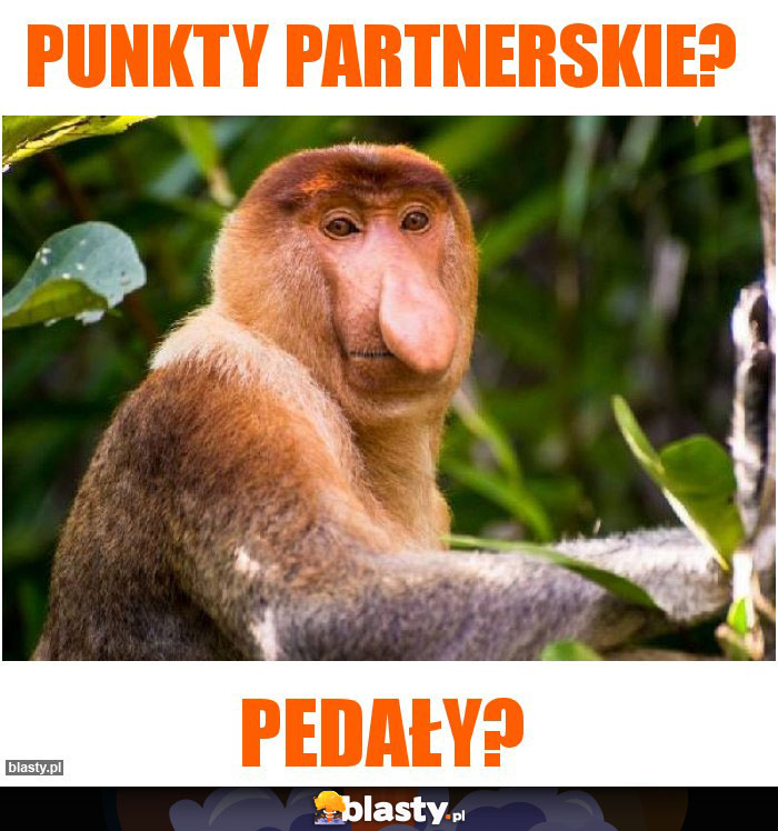 Punkty partnerskie?