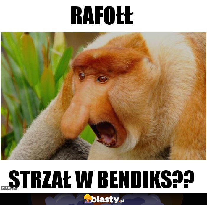 Rafołł