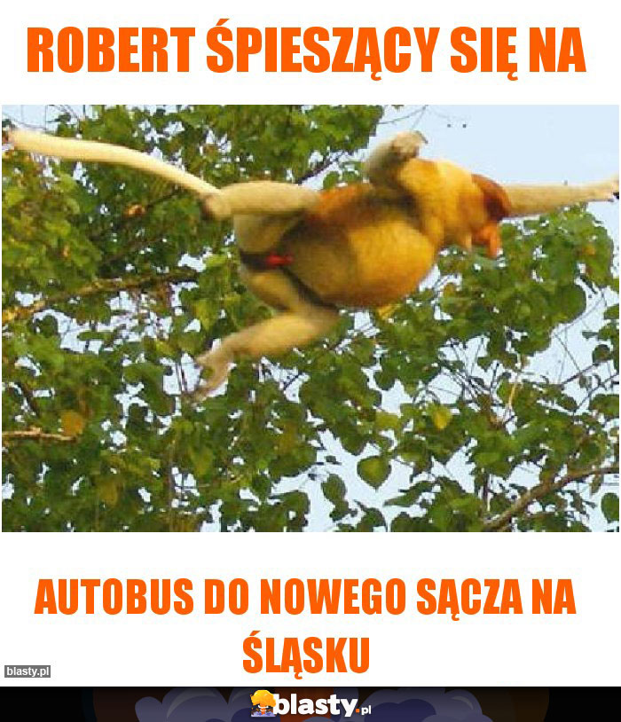 Robert śpieszący się na