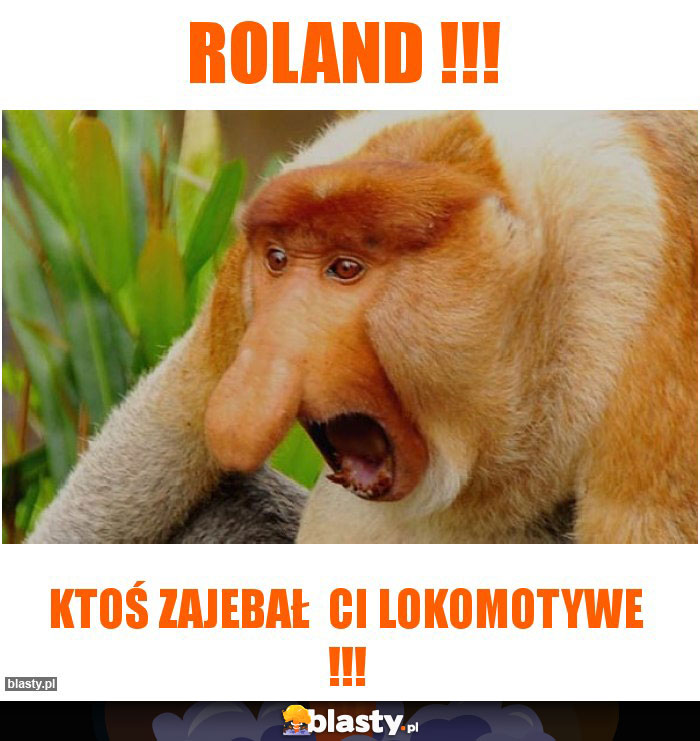 ROLAND !!!