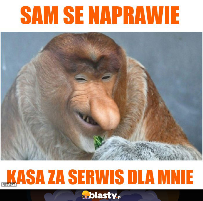 Sam se naprawie