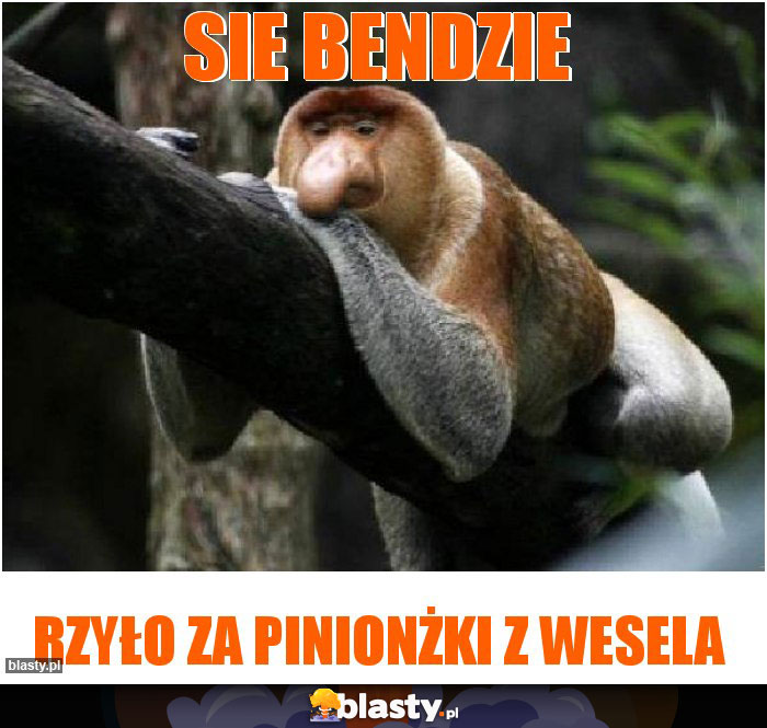 Sie bendzie