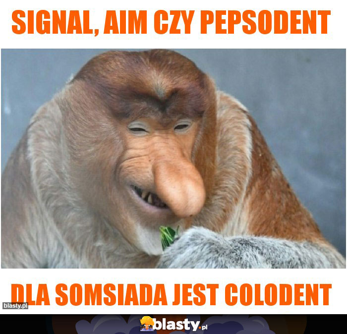 SIGNAL, AIM CZY PEPSODENT