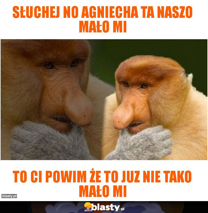 Słuchej no agniecha ta naszo mało mI