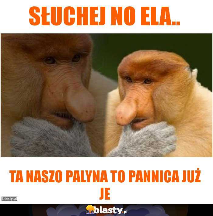 Słuchej no Ela..