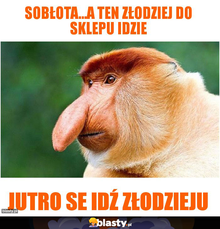 Sobłota...a ten złodziej do sklepu idzie