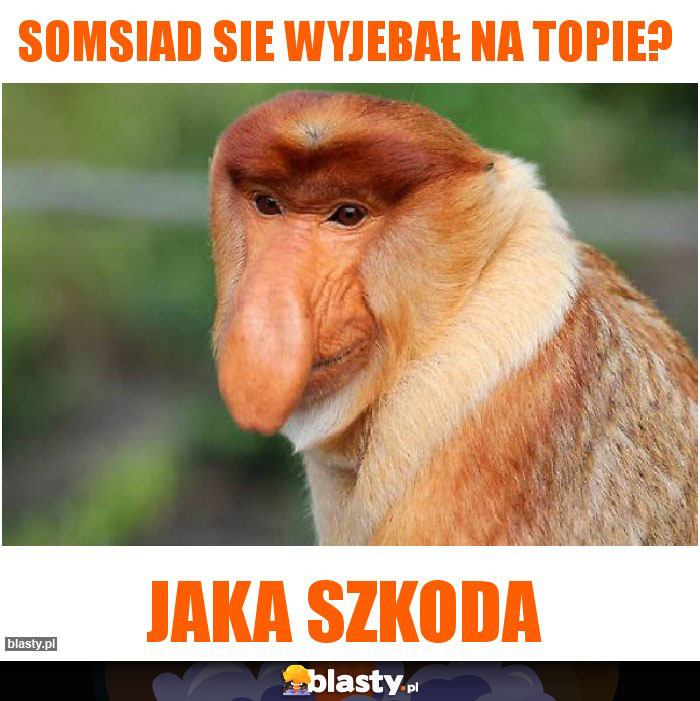 somsiad sie wyjebał na topie?