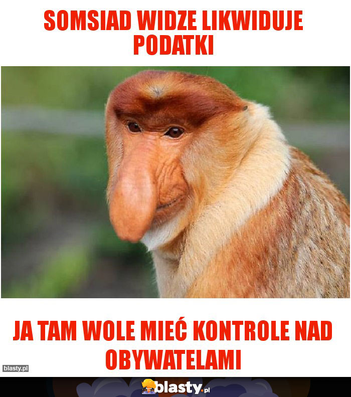 Somsiad widze likwiduje podatki