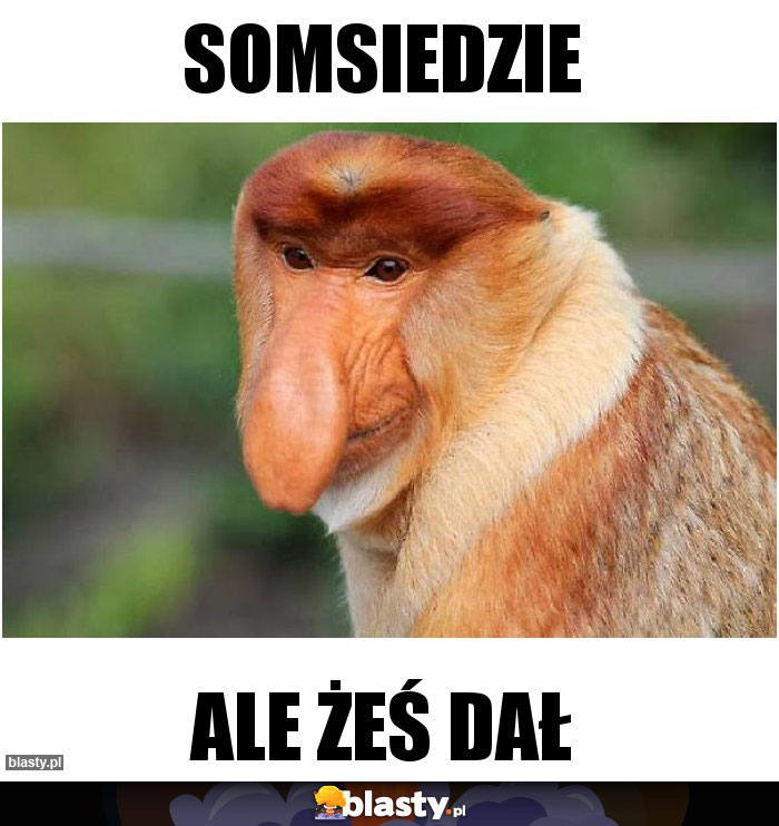 Somsiedzie