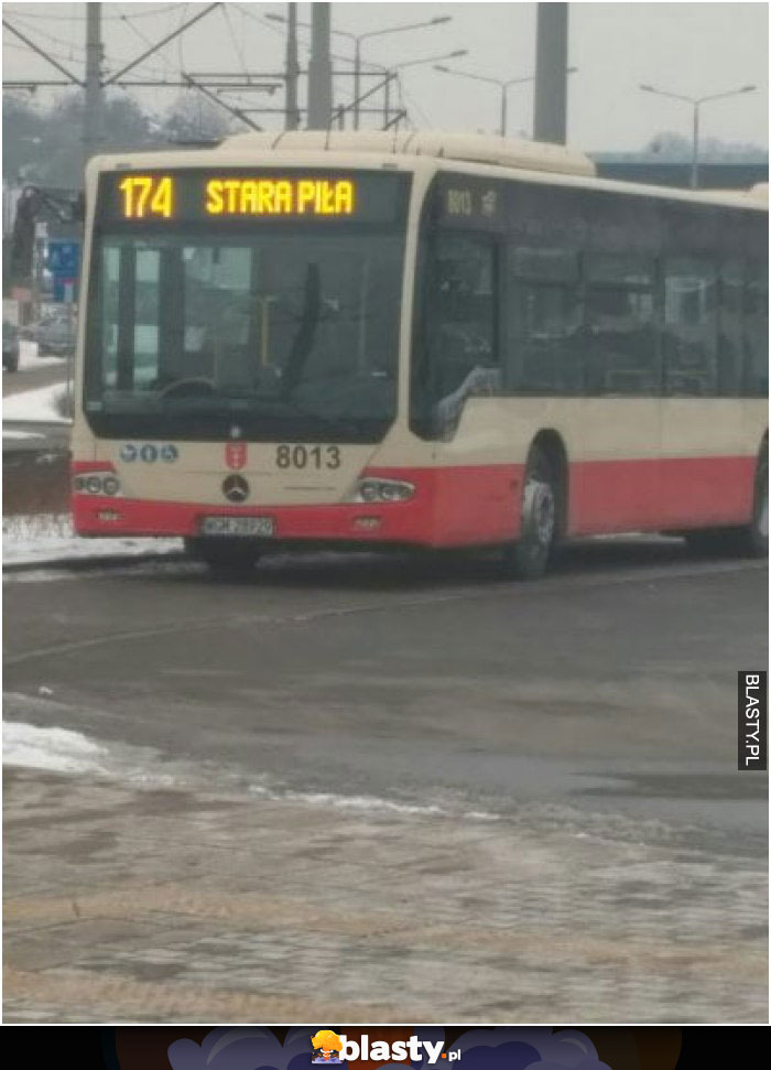 Stara piła