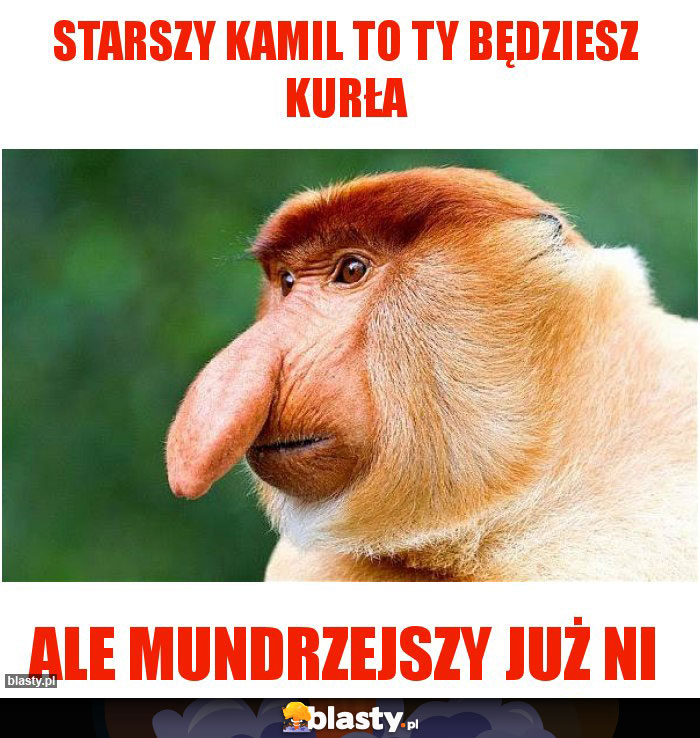 Starszy Kamil to Ty będziesz kurła