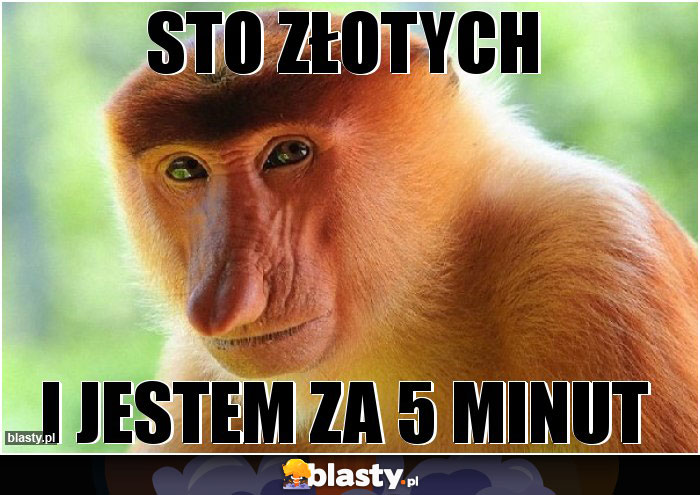 sto złotych