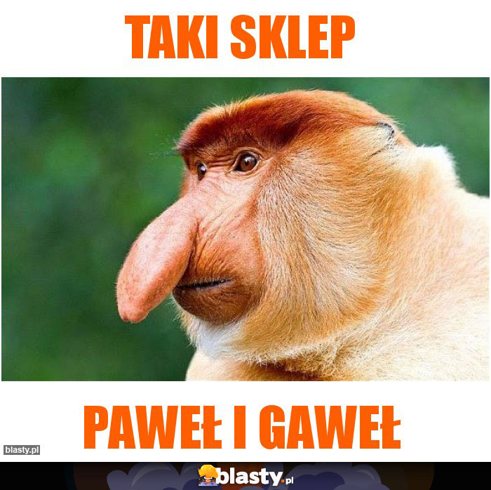 taki sklep