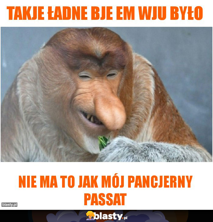 Takje ładne Bje em wju było