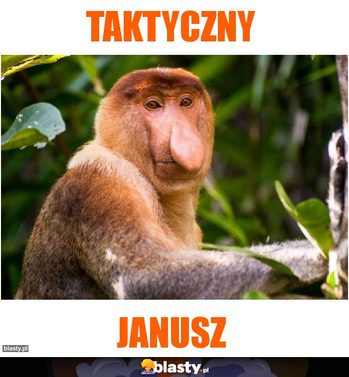 Taktyczny