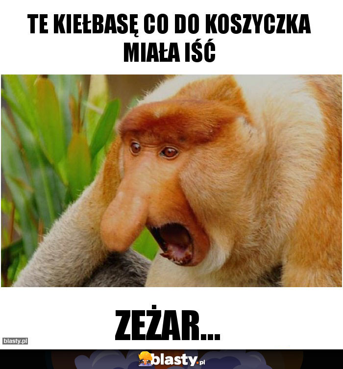 Te kiełbasę co do koszyczka miała iść