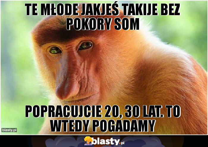 te młode jakjeś takije bez pokory som