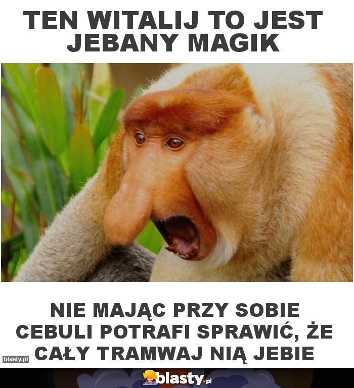 Ten witalij to jest jebany magik