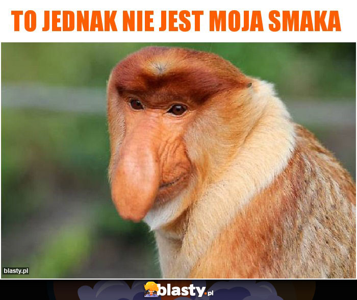 To jednak nie jest moja smaka