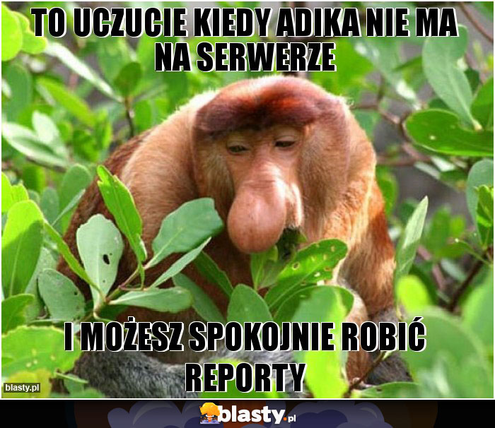 To uczucie kiedy Adika nie ma na serwerze