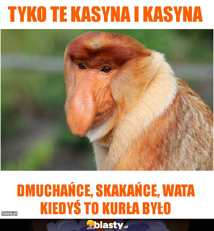 tyko te kasyna i kasyna