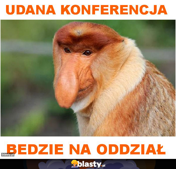 udana konferencja